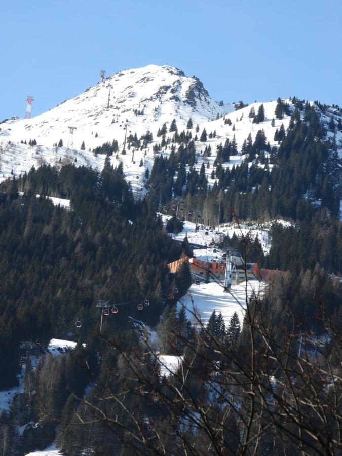 דירות באד הופגסטין Haus Alpengold מראה חיצוני תמונה